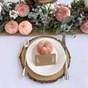 Winlyn 12 Pcs Small Rustic Faux Velvet Pumpkins Decorative Blush Coral Pink Peach Ivory Fabric Foam Pumpkins 3" for Fall Wedding Bbay Shower Thanksgiving Halloween Table Centerpiece Dcor