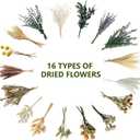 16 Varieties Dried Flowers Set, Mini Natural Dried Flowers Bulk with Stems for Vase Fillers, DIY Crafts, Wreath Making, Rustic Farmhouse Boho Home Decor, Wedding Floral Arrangement Brown Mix