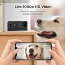 Petcube Bites 2 Lite Interactive WiFi Pet Monitoring Camera with Phone App and Treat Dispenser, 1080p HD Video, Night Vision, Two-Way Audio, Sound and Motion Alerts, Cat and Dog Monitor