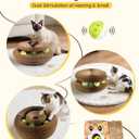 2PCS Upgraded-Magnetic Kitty Kurls Cat Scratcher Toy, Interactive Cardboard Cat Toy for Mental Physical Exercise, Multi-Shape Magic Organ Cat Toy for Indoor Cats Infinite-Flip, Brown/Orange, M