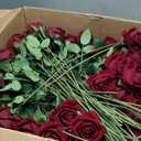 60 Pcs Artificial Roses Bulk Velvet Silk Red Rose Burgundy Roses for Wedding Centerpieces Bridal Bouquet Mohter's Day Valentine's Day Christmas Home Decor (60, Burgundy)