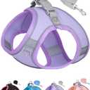 Dog Harness for Small Medium Sized Dog, Step in Puppy Harness and Leash Set Training Walking. (Purple, XXS)