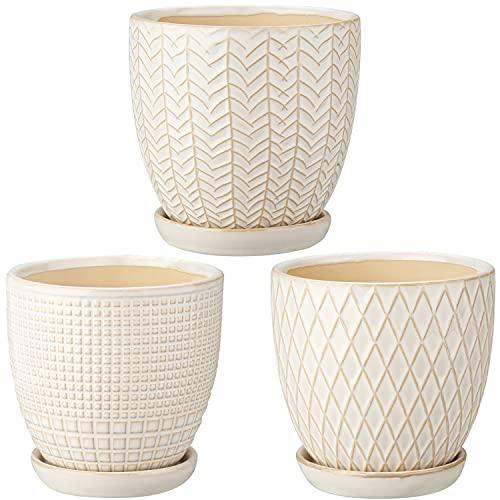 Oairse 4 inches Ceramic Planter Pots  Set of 2 Small Round Flower Pots with Drainage Hole and Ceramic Tray for Succulents Cactus Indoor Outdoor Garden Home Windowsill