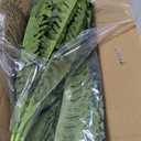 FOREST PRINCE 42" Artificial Boston Fern Large Bush Plants, 2 Bundles of Fake Ferns with 65 Fronds for Outdoors Home Decor