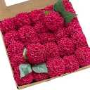 Ling's moment Dahlia Foam Artificial Real Touch Faux Fake Flowers for Home Decor Graduation Baby Shower Decorations Outdoors Party Favors Wedding Gifts Centerpieces Arrangements 25pcs (Hot Pink)