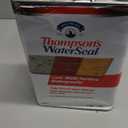 Thompsons WaterSeal Multi-Surface Waterproofer Stain, Clear, 1 Gallon