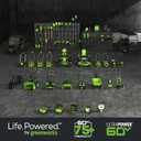 Greenworks Pro 60V Ultra Power 6A Rapid Charger - Works with All Greenworks Batteries