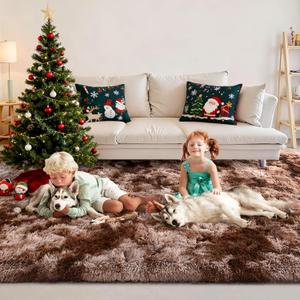 FinRec Brown Rugs for Bedroom Living Room, 4x6 Feet Plush Fluffy Shag Area Rug, Non-Slip Fuzzy Furry Shaggy Rug for Kids Room Dorm Room Home Decor, High Pile Soft Floor Carpet