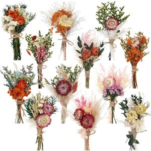 Layhit 12 Pcs Boho Dried Flower Bouquet Mini Wedding Handmade Dry Flowers Decor for Vase Crafts DIY Photo Boutonniere for Men Floral Plant for Bridesmaid Gift Birthday Decor(African Daisy)