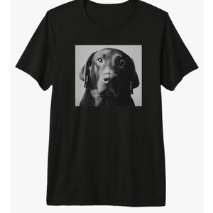Black Labrador Retriever Chocolate Lab Dog Mom Dad Premium T-Shirt Size XL