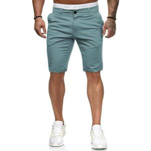 HUNGSON Mens Slim Fit Shorts Stretch Chino Short Pants(Blue Green,30) 