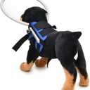 Blind Harness for Dogs, Small, Medium, Large Dogs Walking Blind Dog Halos, Guide Dog Harness, Blind Dog Accessories Blue Small