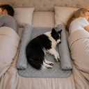 On-Bed Dog Bed with Moveable Headrests, Washable Pet Mat for Bed, Dog Bed for Couch for Dogs that Love to Sleep with You (Light Grey)