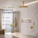 Gold Rain Shower Head, 16 Inch High Pressure Shower Head, 304 Stainless Steel Ceiling Mount Extra Large Waterfall Top Showerhead, Brushed Brass Gold