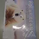 Polar Bear Calendar 2026 Monthly Wall Calender 12 Month | American Made In The USA