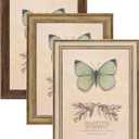 XUANLUO 3 Pack 8x10 Inch Farmhouse Rustic Picture Frame Sets Distressed Farmhouse Plastic Frame with HD plastic cover for Wall Mount or Tabletop Display (8x10, Multicolour)