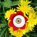 32 mm Colored Human Fake Eyeballs for Halloween Cosplay - Plastic Large Doll Eye Acrylic Party Decor Sculptures Prop 8Pcs 4 Colors (Black, Brown, Green, Blue)