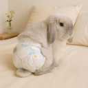 Leakproof Rabbit Diapers Disposable Bunny Pet Diaper for Small Rabbits, Incontinence & Potty Training (1 Package/Trial Set, XS) (1 Package/Trial Set, XS Size (Recommended for 2-5 lbs)