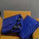 RAINDEWAY Small Tarps 3x5 Feet (2 Pack) 8 Mil, UV Resistant, Durable, Multipurpose Waterproof Poly Tarp Cover with Metal Grommets and Reinforced Edges,Blue Tarp