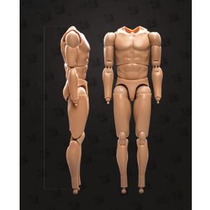 1/6 Scale Action Figures for Custom Muscular Male Figure Body (BD001)