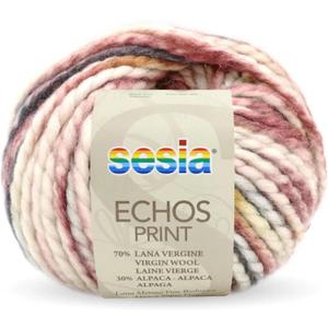 2 Skeins, Organic Virgin Wool and Alpaca, 108 Yds/3.5 oz., Needles US 10.5-11 Sesia Echos Print (2, Multicolor - 4479)