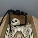 UMEELR 5.4FT Halloween Life Skeleton with Spider, Full Size Skeleton for Halloween Patio Lawn Garden Props Spooky Party Decoration