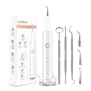 Plaque Remover for Teeth, Electric Tooth Cleaner Tartar Remover for Teeth with LED Light,4 Modes Rechargeable Teeth Cleaning Kit with Dental Tools, 2 Replaceable Heads