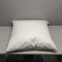 Utopia Bedding Throw Pillows Insert (Pack of 2, White) - 14 x 14 Inches Bed and Couch Pillows - Indoor Decorative Pillow
