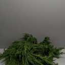 MISSPIN 9ft Christmas Garland with LED Lights, Real Touch Norfolk Pine Garland, Green Artificial Greenery Garland for Table, Mantle, String Light, Wall, Indoor, Outdoor Christmas Decorations