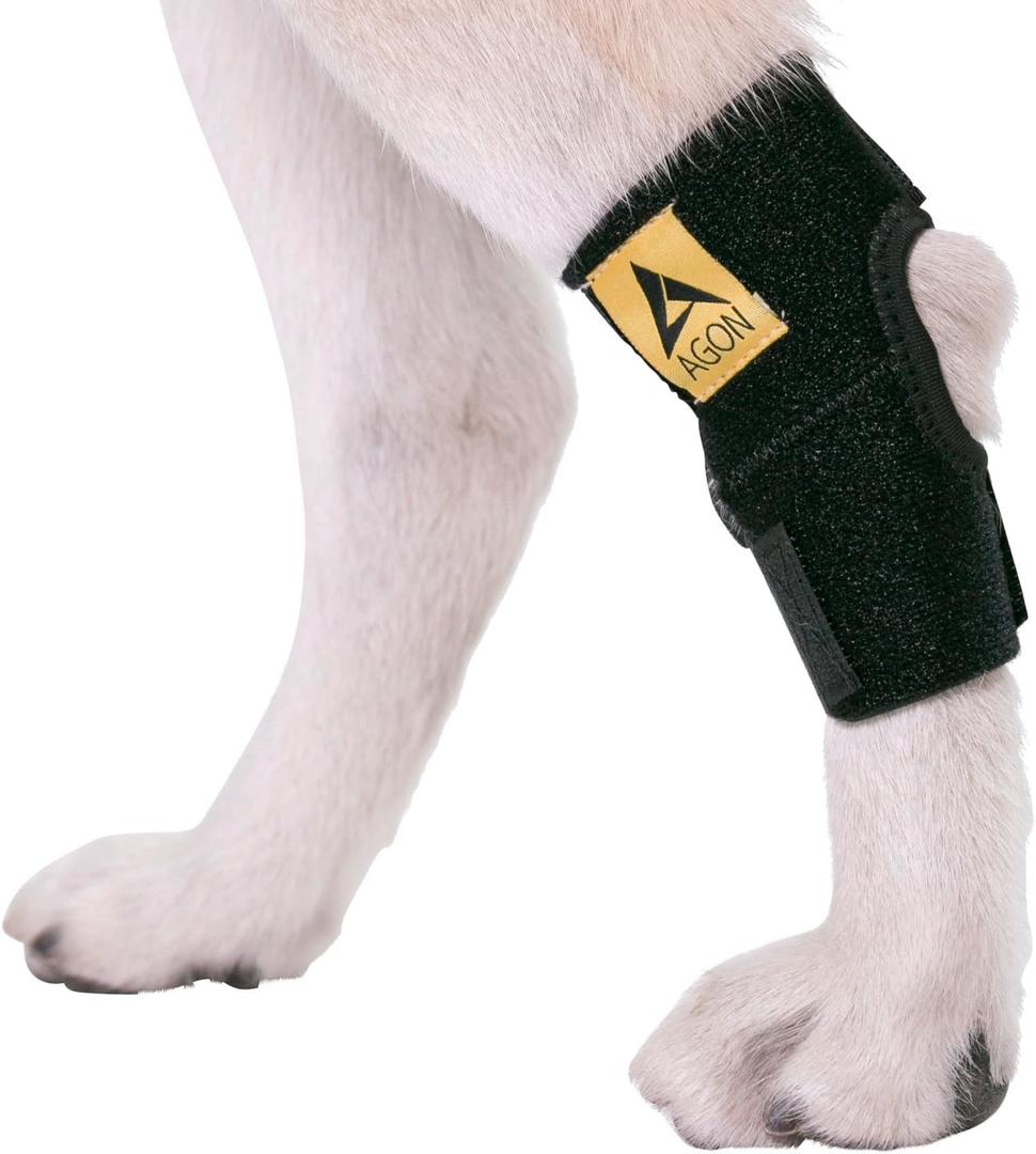 Agon Dog Leg Braces For Back Leg wrap hock compression protects wounds and helps heal hind legs rear ankle joint, preventing injuries, sprains providing stability for dogs, canines arthritis (Medium)