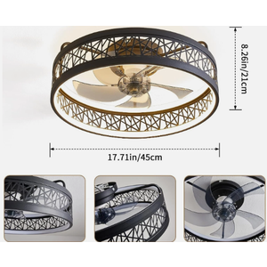 Ricodo 18" Modern Black Caged Ceiling Fan w/ Light 6-Speed Dimmable Remote (4A)