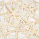 QEQEKAKA 20 PCS Starfish for Crafts 4"- 6" Natural Starfish Decor Bulk | Starfish for Wedding Beach Theme Decor Home DIY Crafts Decor Christmas Tree Starfish Ornaments