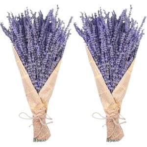 Dried Lavender Bundles, Uieke Natural Dried Lavender Flowers 280-300 Stems 16“ for Home Weeding Decoration Flower Arrangements Home Fragrance 2 Bundles