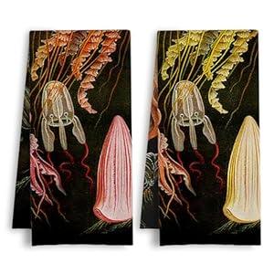 HSIASHENG ArtisaEura Jellyfish Coastal Beach Kitchen Towels, Vintage Sea Life Jellyfish Dish Tea Hand Towels for Kitchen Bathroom Decor, Gifts for Ocean Lovers, 16x24 Inch Set of 2