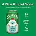 OLIPOP Prebiotic Soda Pop, Ginger Ale, Pantry Pack Packed with Prebiotics, Fiber, and Botanicals, Gluten Free, Vegan, GMO Free, 12oz (12-Cans) (EXP 09/28/27)