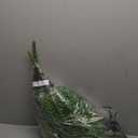 Fake Fern Artificial Plant