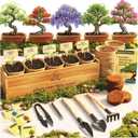 Planter's Choice Bonsai Tree Starter Kit - Mothers Day Gifts for Women, Men - Birthday Gifts for Adults - Indoor Live House Plants - DIY for Adults Craft Kits - Unique Hobby Gift Gardening Lovers