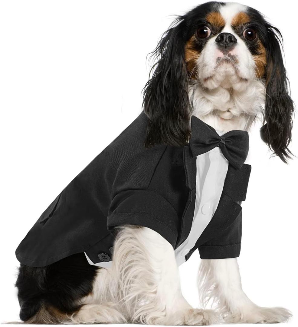 Queenmore Formal Dog Outfit for Wedding, Pet Tuxedo with Tie, Cat Costume (Black, M)