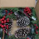 Christmas Wreath 20 Inch Outdoor Artificial Christmas Wreath with Red Berries and Flocked Pine Cones Xmas Wreath for Front Door Winter Holiday Christmas Party Decorations (20" Style#5)