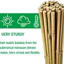 Mininfa Natural Bamboo Stakes 2 Feet, Eco-Friendly Garden Stakes, Plant Stakes Supports Climbing for Tomatoes, Trees, Beans, 30 Pack