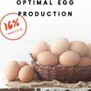 Manna Pro Chicken Feed, 16% Protein Layer Crumbles with Probiotics for Digestive Health, Complete Feed for Laying Hens to Support Egg Production, Nutrient-Rich Chicken Food, Made in USA, 8 lb Bag (EXP 06/20/25)