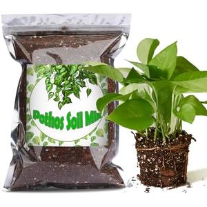 Doter Organic Pothos Soil Mix 1qt, Indoor Plants Potting Mix for All Potted Pothos, Grow Healthy houseplants Indoors