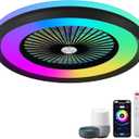 24" Bladeless Modern Ceiling Fan with RGB Light, Voice/App Control, 6 Speeds, Multicolor, 48W, 35dB