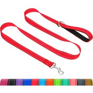 Taglory Dog Leash for Small Dogs, Double-Sided Reflective Leash with Soft Neoprene Padded Handle, 3/4 inch by 5 ft, Fit Small Medium Large Breeds Under 20 lbs, Red