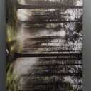 Sunlight Forest Pictures Canvas Wall Art for Living room Office Bedroom Wall Decor,Forest Wall Art Print Paintings Modern Darkly Green Nature Landscape Artwork Waterproof Ready to Hang-20x40inch