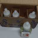 Scent Fill Sweet & Spicy Cinnamon Nutmeg Plug in Air Freshener, 4 Scented Oil Refills