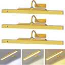 Picture Light 3Pack- 16in Picture Lights for Wall, 5000mAh Wireless Rechargeable Battery Picture Lights, Wall Light, Art Display Light for Gallery Artwork, Paintings, Portraits, Dartboards- Gold