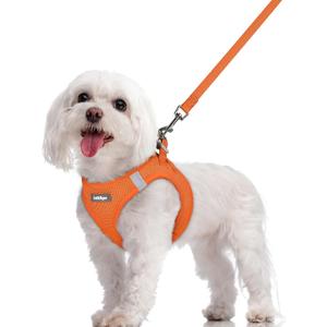 Rabbitgoo Dog Harness Small Sized and Leash Set, Step in Soft Light Puppy Vest, Breathable Mesh Pet Harness, Reflective for Safe Easy Walking, Orange M