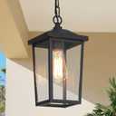 Outdoor Pendant Light Fixture, Farmhouse Exterior Hanging Lights with Adjustable Chain, Black Anti-Rust Ceiling Outdoor Light with Clear Glass, Hanging Lantern for Front Door, Entry, Porch, and Gazebo