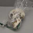 READAEER Resin Skull, Human Head Model for Home Decoration, Halloween Statue, Skull Model for Bookshelf and Desktop (White)